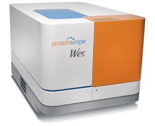 全自动蛋白质印迹定量分析系统